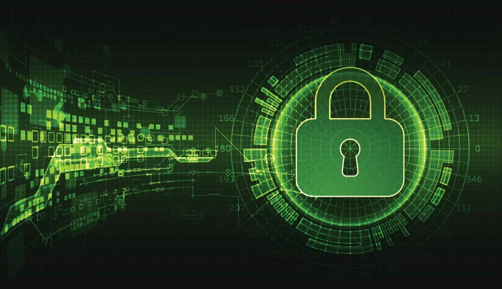 Data Protection and Encryption: Safeguarding Your Digital Fortress with Absolute IT