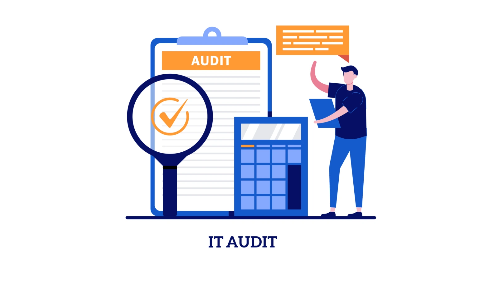 IT Audits, What & Why.